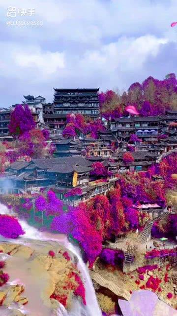 小汪汪