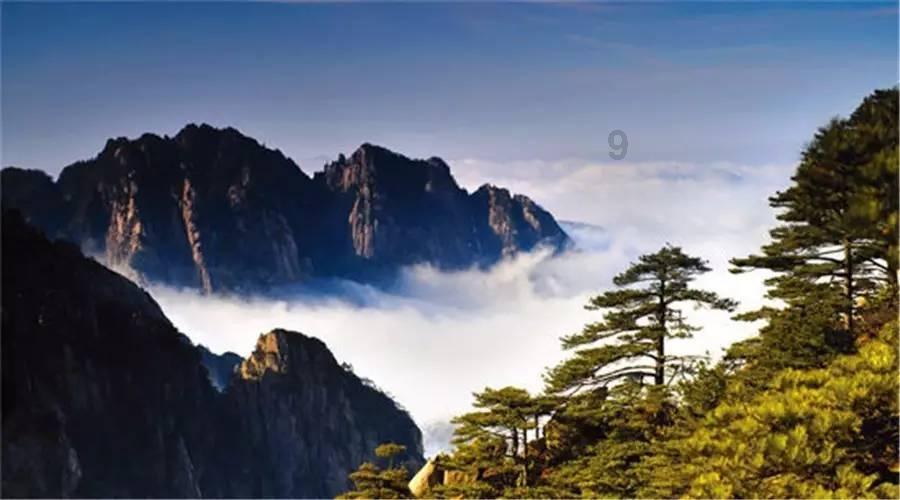 燃烧吧大脑免广告最新版