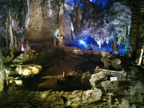 王桂华:医教研融合发展 促进胃肠外科专科能力提升