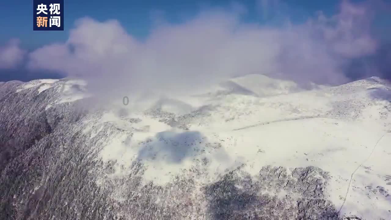 探索狮子座是什么意思?知识星球,解密行业秘闻与热门趋势