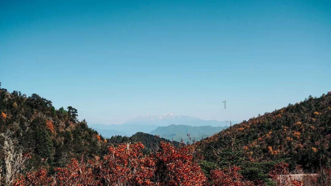 教师节什么时候开始的- 200个知识的微光,照亮前行的路。