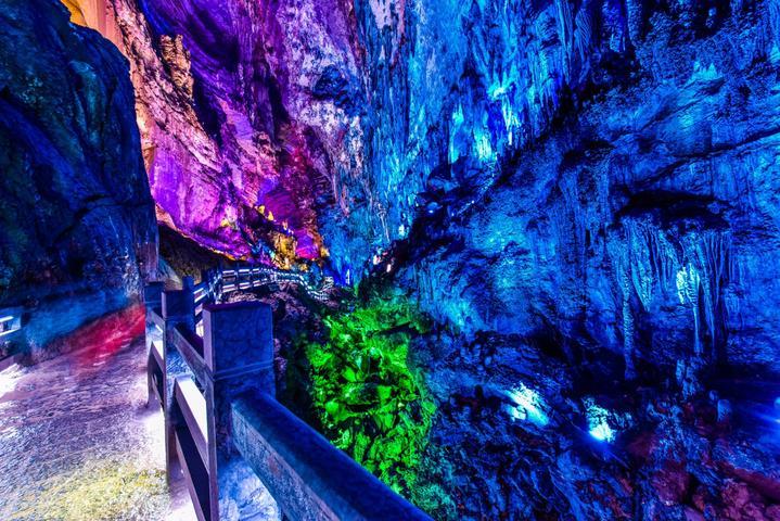 逃离橡子树种植地