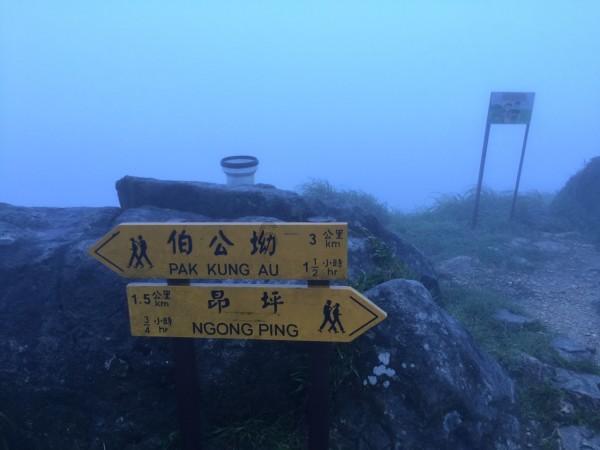 美图秀秀下载2023最新版