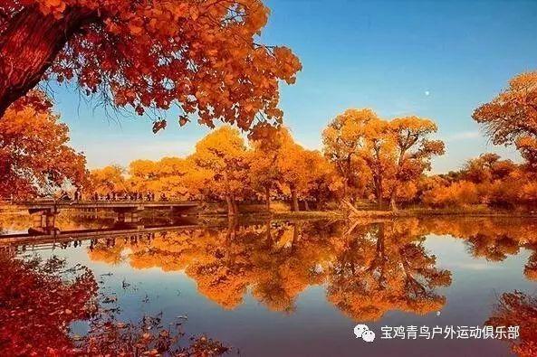 完善“先行赔付”要形成工作合力