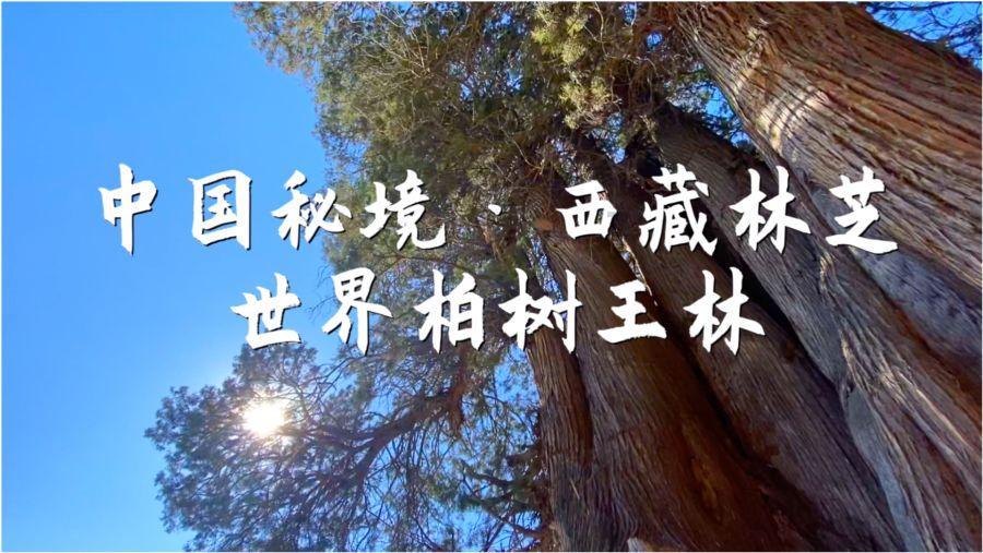 【遵义两会】9个关键字！带你一起回顾遵义2023