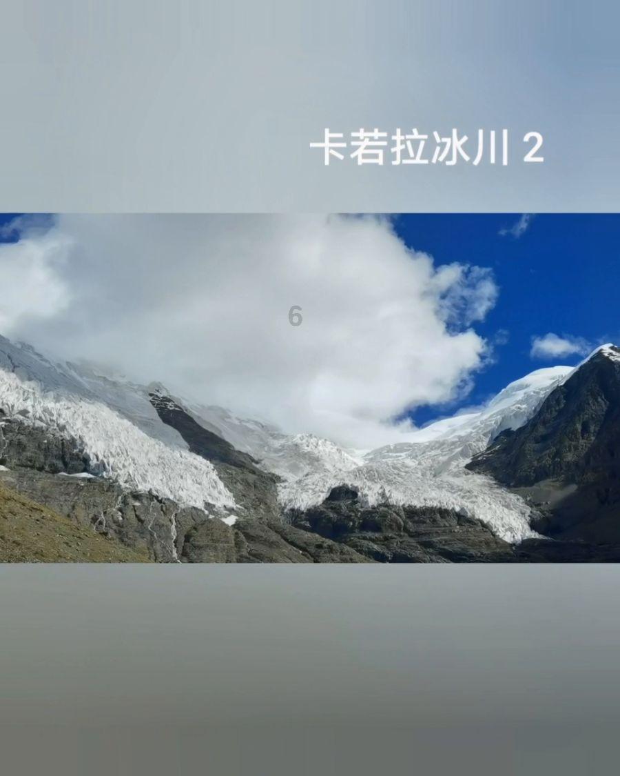 救援采蜜人