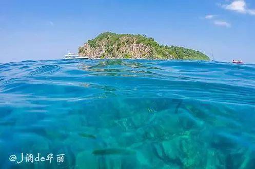 极地大逃亡