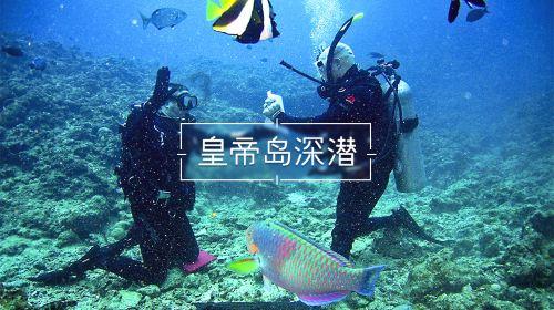 甜美洋气小公主