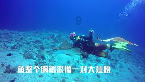 拯救毛茸茸男人