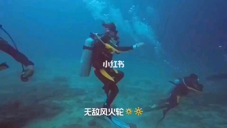 逗小猴开心系列189