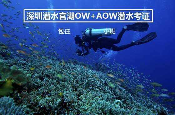 逃离快乐小镇