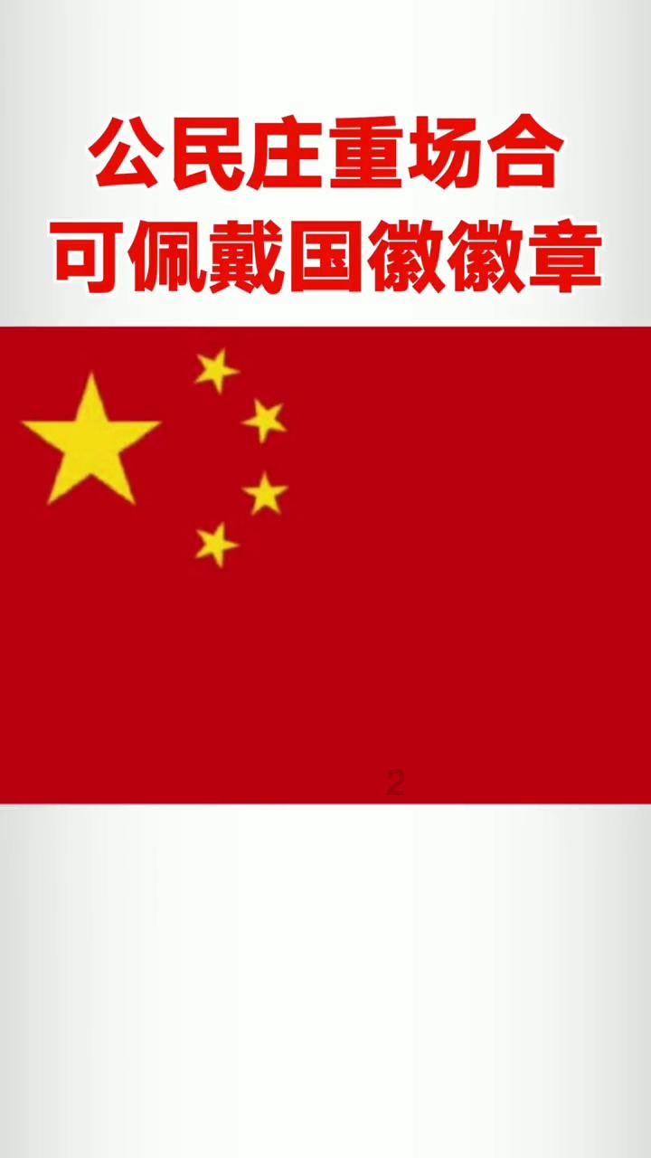 见习小魔女勇闯猪窝岛