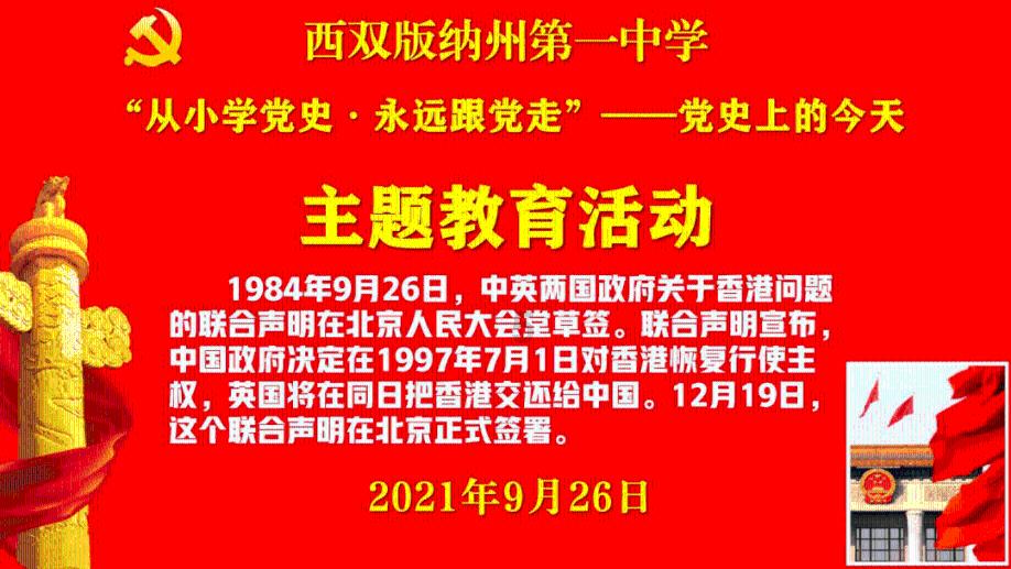 20张图片证明猫和狗之间有友谊:跨种族的爱是真实存在的!