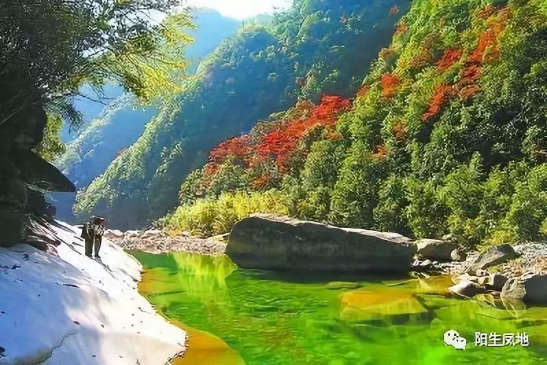 强化学习算法在语音识别与合成中的优化策略研究