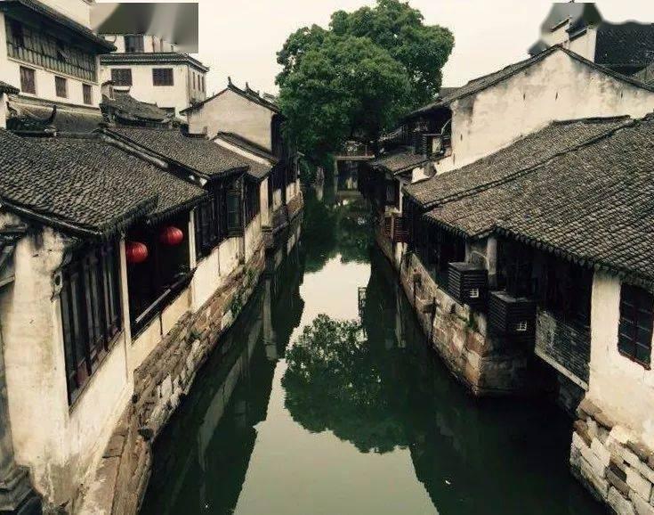 你是否支持英语退出主科地位，理由是什么？游戏画面