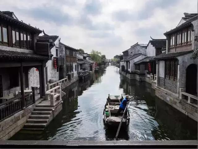 植物大战僵尸4