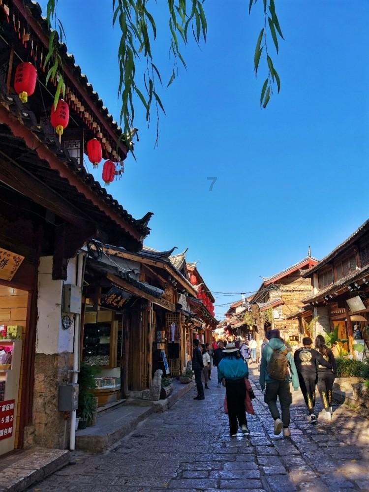 两会上的“机”智服务