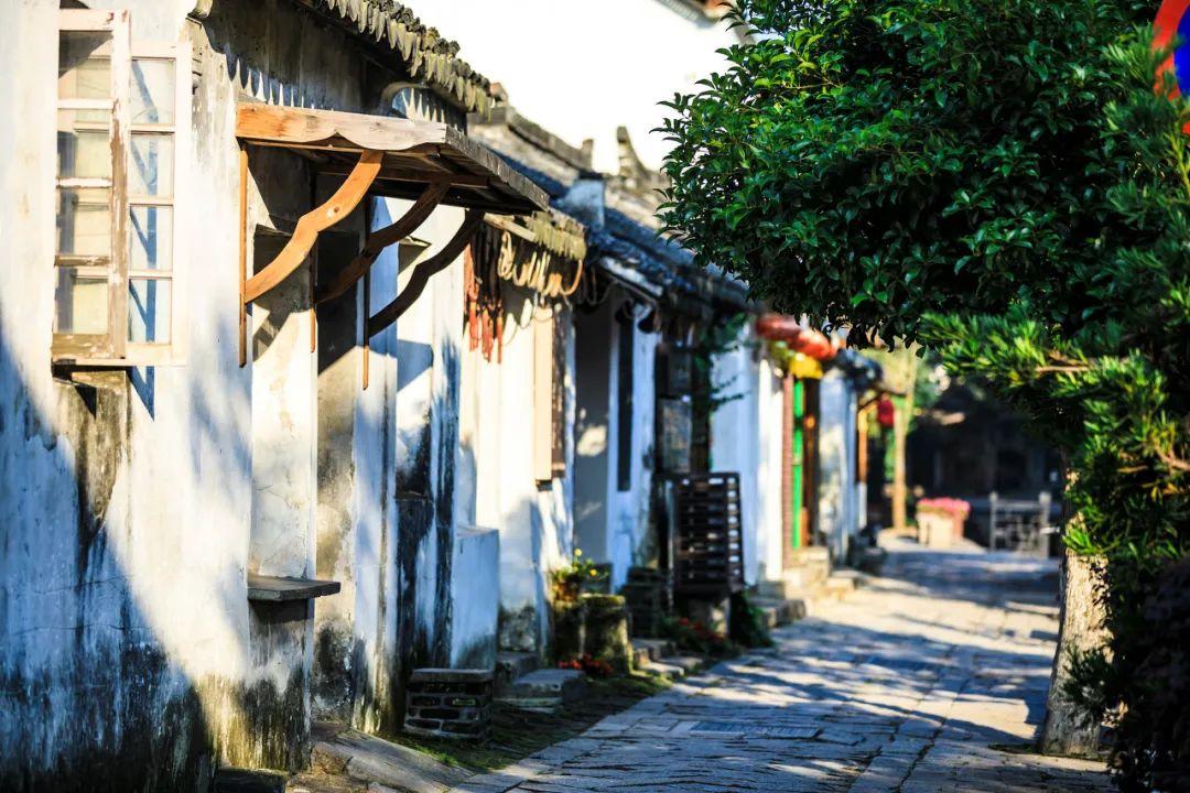 街头霸王5
